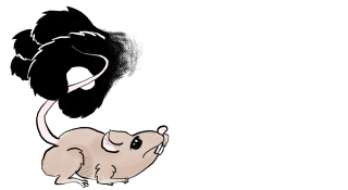 Illustration for article titled Inside the Feline Mind: 7 Cat Behaviors and What They Really Mean